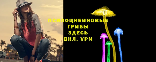 мяу мяу мука Белокуриха