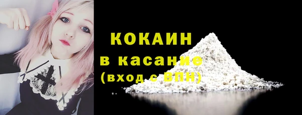 мяу мяу мука Белокуриха