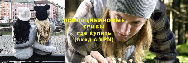 мяу мяу мука Белокуриха